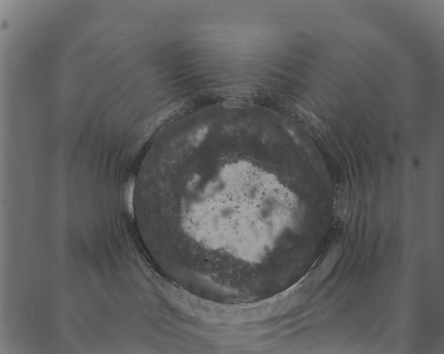 X0000089660047200707121210