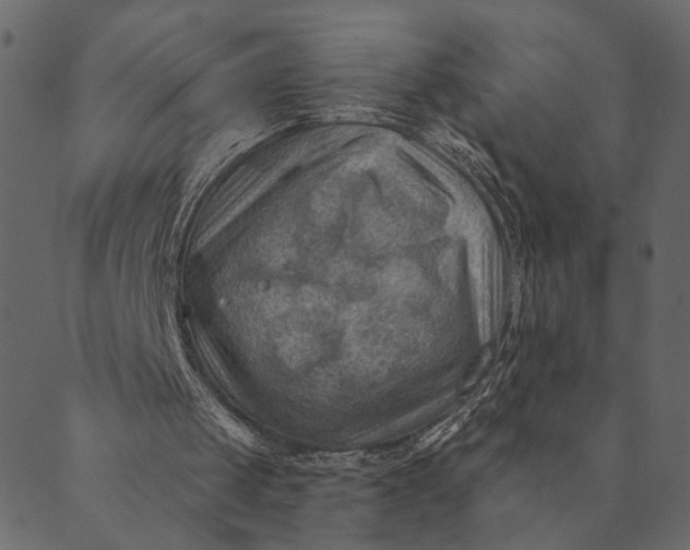 X0000089660049200707121209