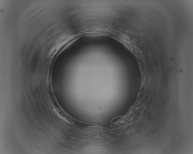 X0000089660050200707121209