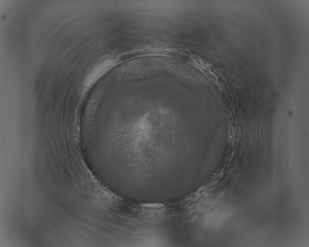 X0000089660053200707121209