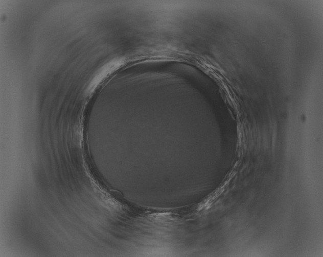 X0000089660054200707121209