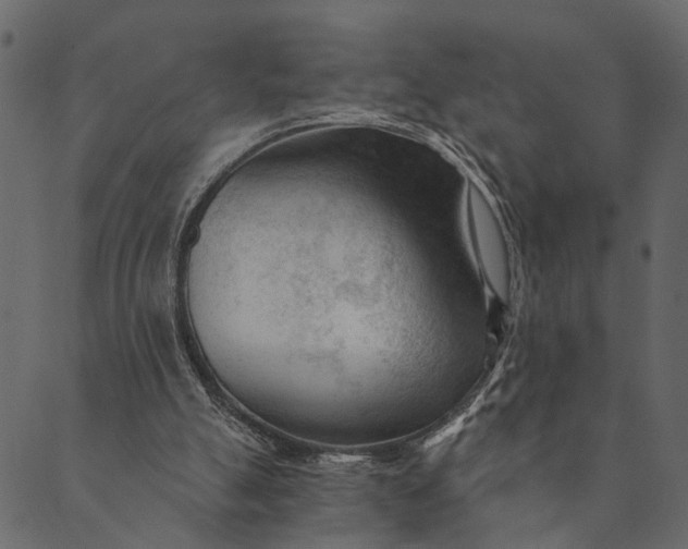 X0000089660055200707121209