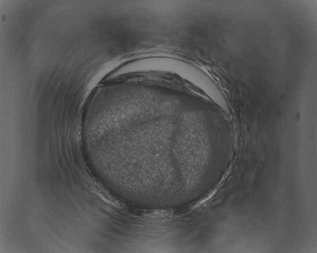 X0000089660056200707121209