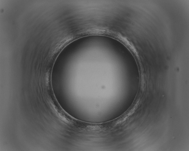 X0000089660057200707121209