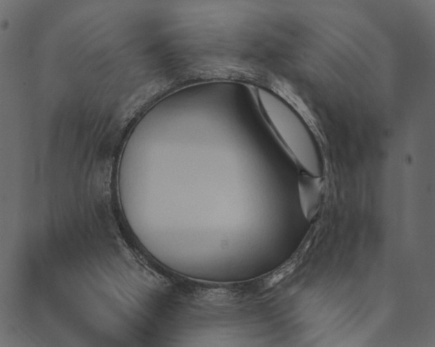 X0000089660058200707121209