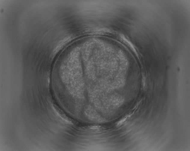 X0000089660059200707121209