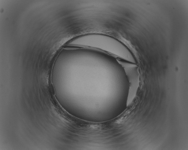 X0000089660060200707121209