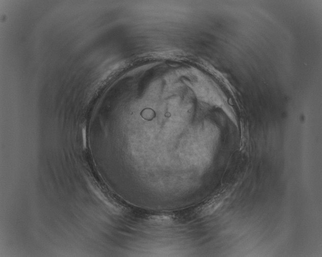 X0000089660061200707121209