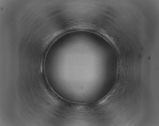 X0000089660062200707121209