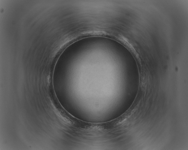 X0000089660063200707121209