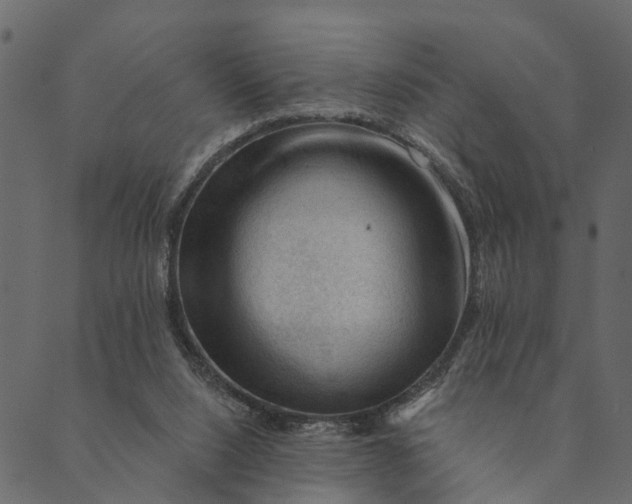 X0000089660064200707121209