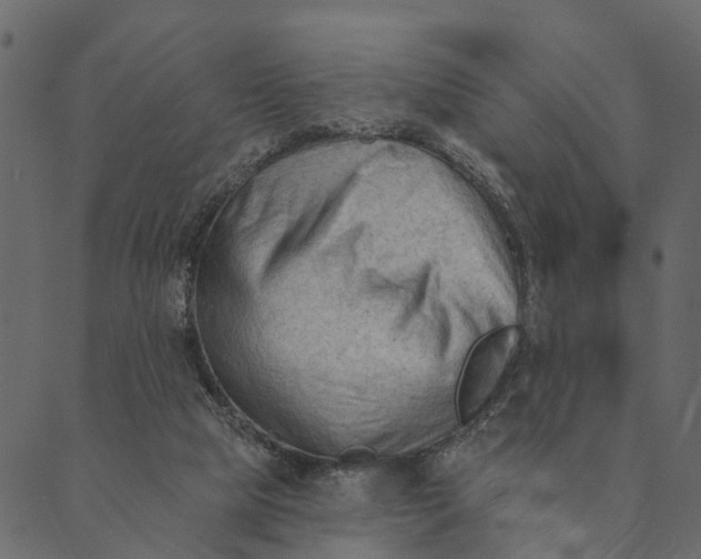 X0000089660065200707121209