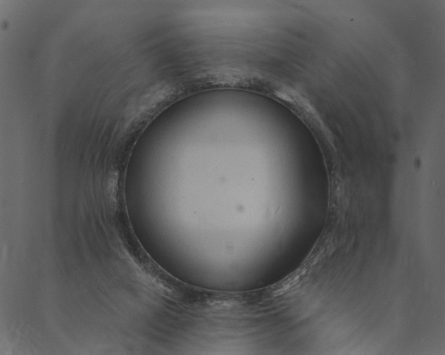 X0000089660066200707121209