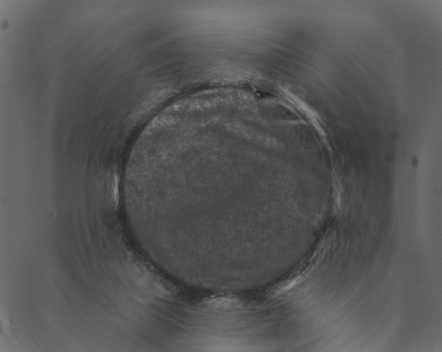 X0000089660067200707121209