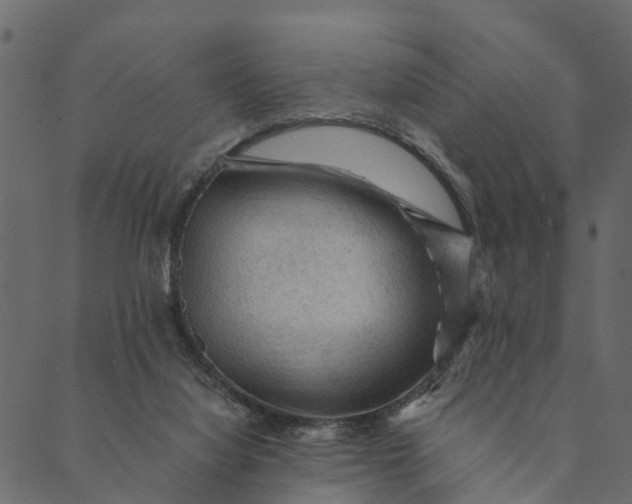 X0000089660068200707121209