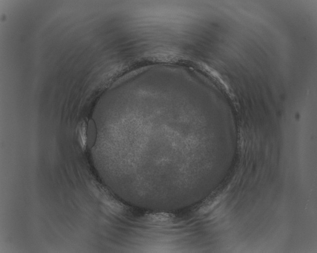 X0000089660069200707121209