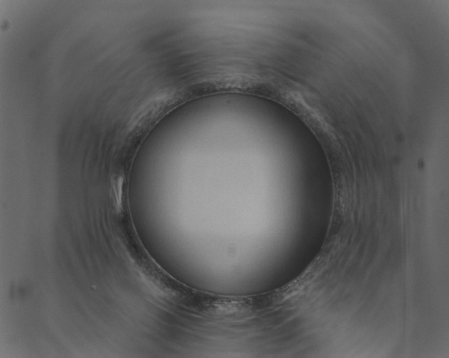 X0000089660070200707121209