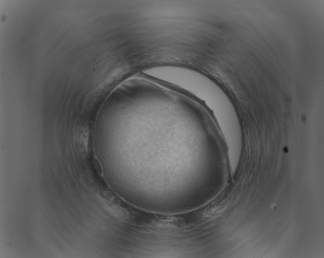 X0000089660072200707121209