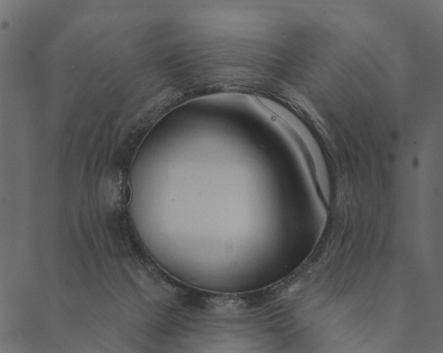 X0000089660073200707121209