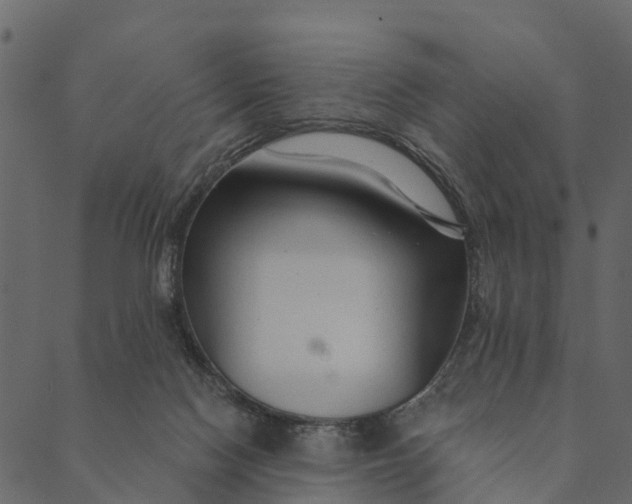 X0000089660074200707121209