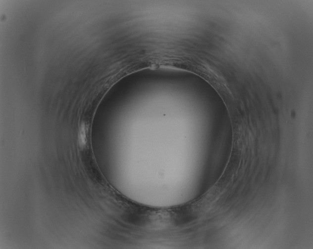 X0000089660075200707121209