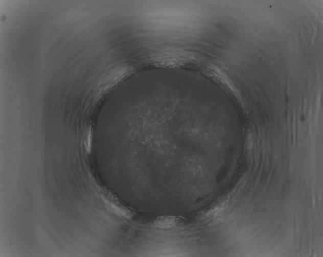 X0000089660076200707121209