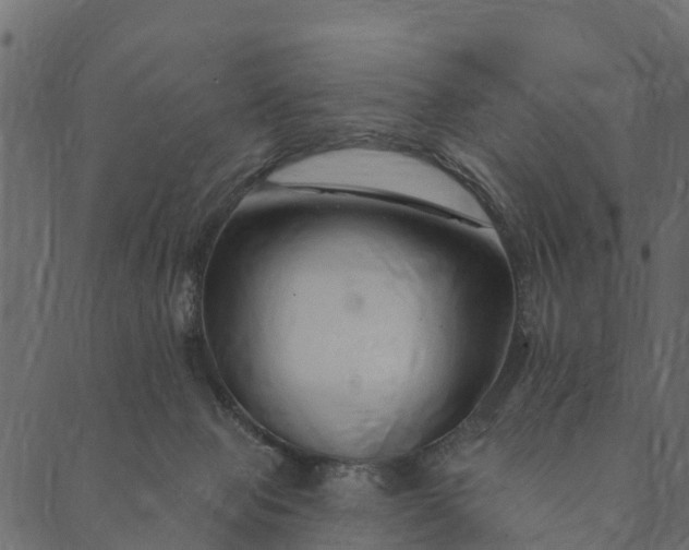 X0000089660077200707121209