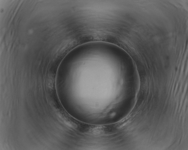 X0000089660078200707121209