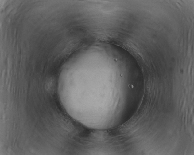 X0000089660079200707121209