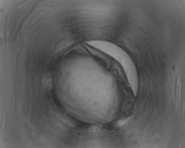 X0000089660080200707121209