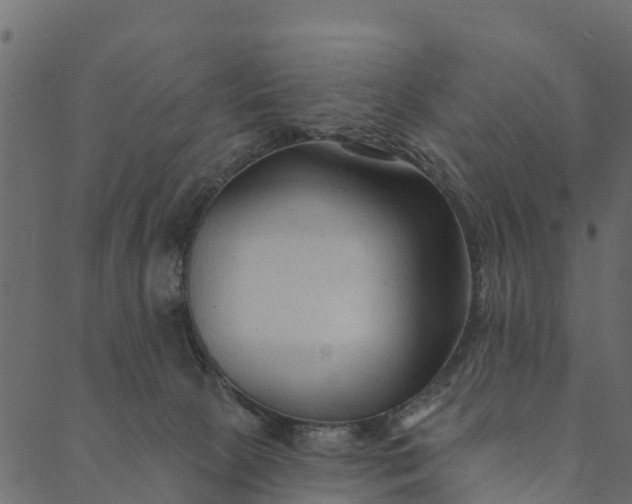 X0000089660081200707121209