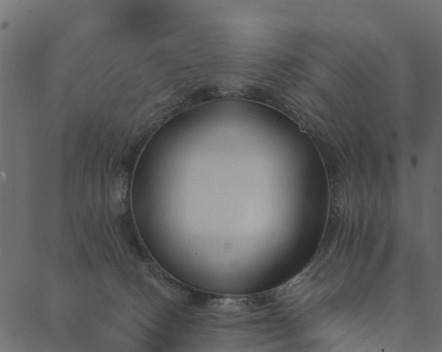 X0000089660082200707121209