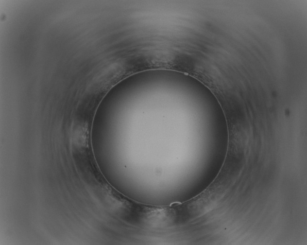 X0000089660083200707121209