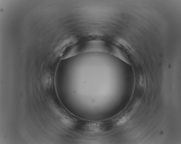 X0000089660084200707121209