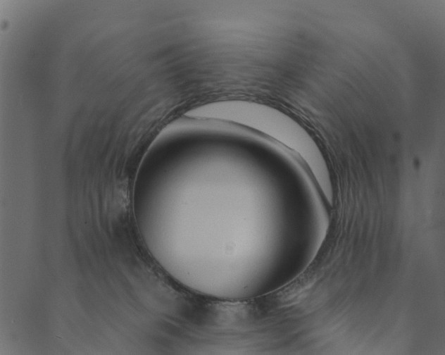 X0000089660085200707121209