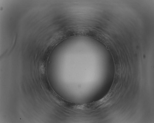 X0000089660086200707121209