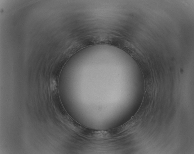 X0000089660087200707121209