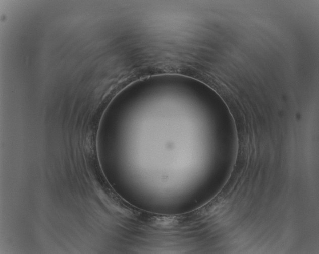 X0000089660088200707121209