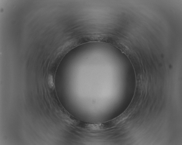 X0000089660089200707121209