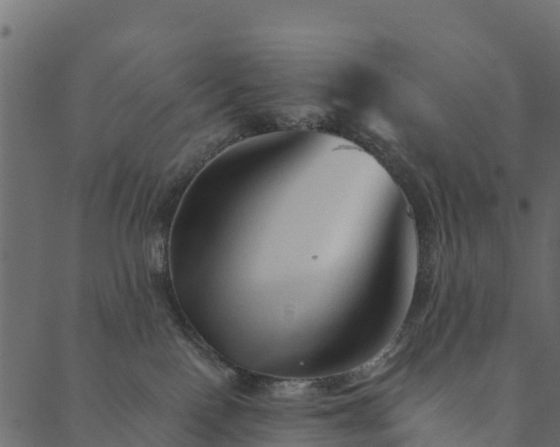 X0000089660090200707121209