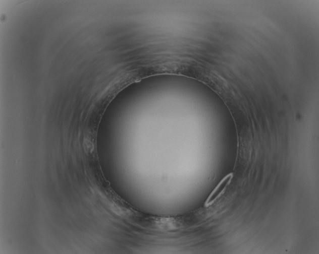 X0000089660091200707121210