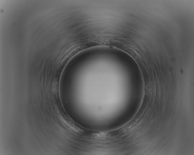 X0000089660092200707121210