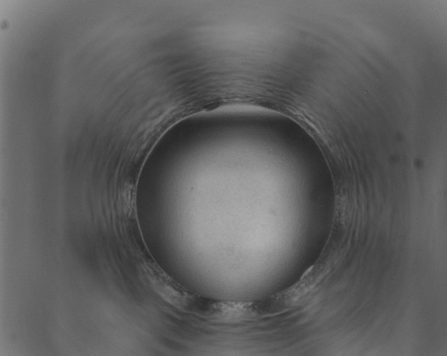 X0000089660093200707121210