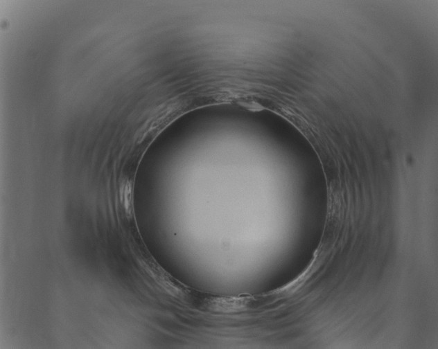 X0000089660094200707121210