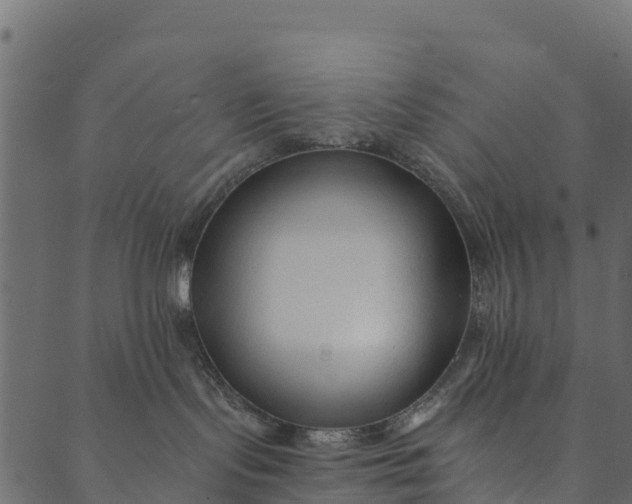 X0000089660095200707121210