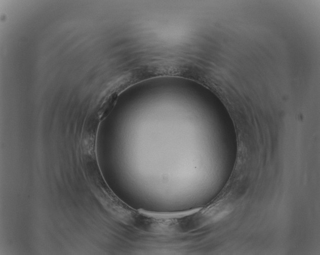 X0000089660096200707121210