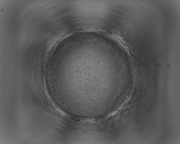 X0000089660097200707121209