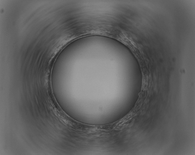 X0000089660098200707121209