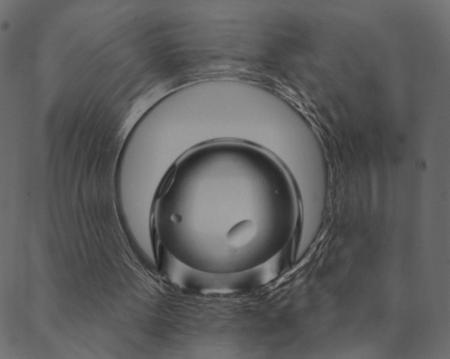 X0000089660099200707121209