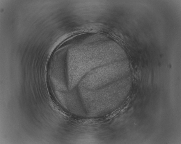 X0000089660100200707121209